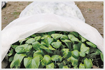 Agri Crop Protection Fabric