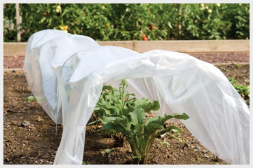 Agri Crop Protection Fabric