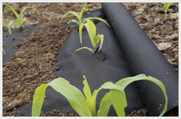 Agri Crop Protection Fabric